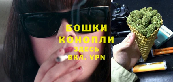 соль ск Волосово