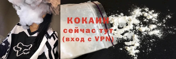 соль ск Волосово