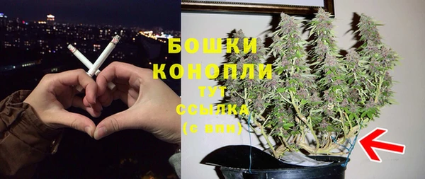 соль ск Волосово