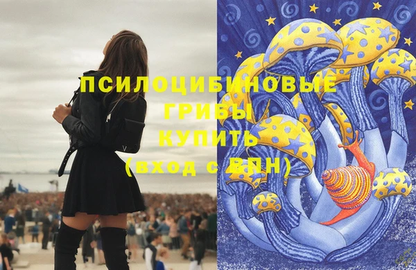 соль ск Волосово