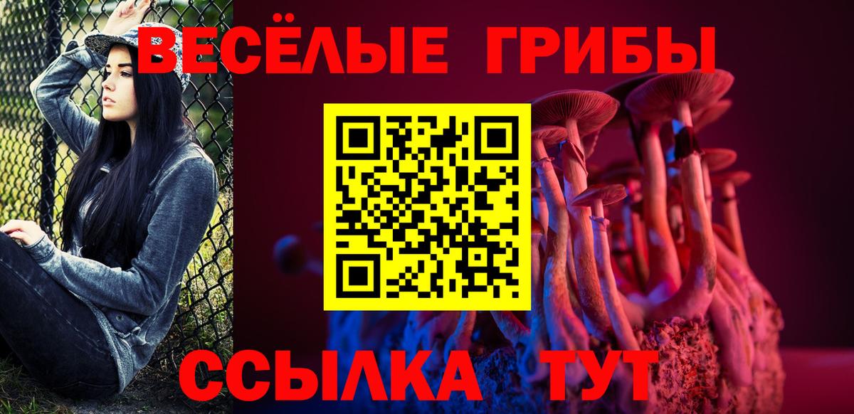 Псилоцибиновые грибы GOLDEN TEACHER Железногорск