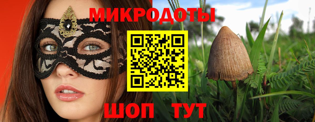Галлюциногенные грибы Psilocybine cubensis  Вход с VPN  Железногорск 